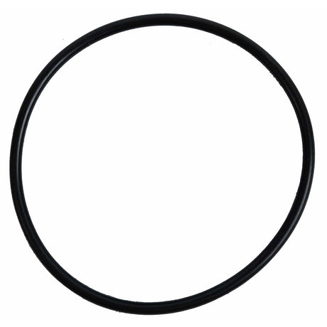 BRP Qualifies for Free Shipping BRP O-Ring #5033009