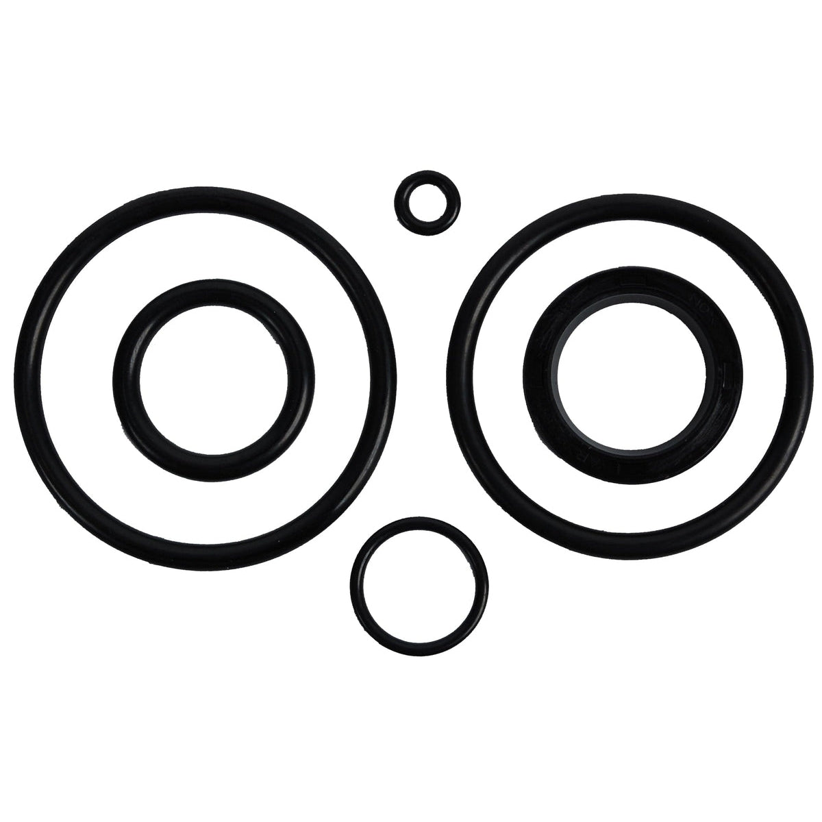 BRP Qualifies for Free Shipping BRP O-Ring Package #390007