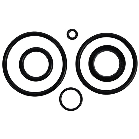 BRP Qualifies for Free Shipping BRP O-Ring Package #390007