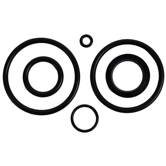 BRP Qualifies for Free Shipping BRP O-Ring Package #390007