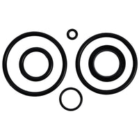 BRP Qualifies for Free Shipping BRP O-Ring Package #390007