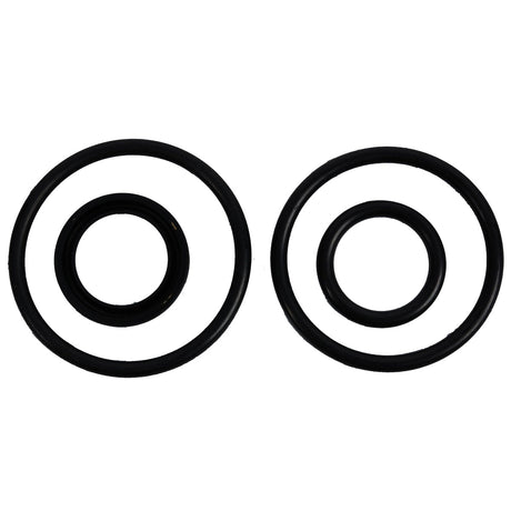 BRP Qualifies for Free Shipping BRP O-Ring & Seal Kit #433234