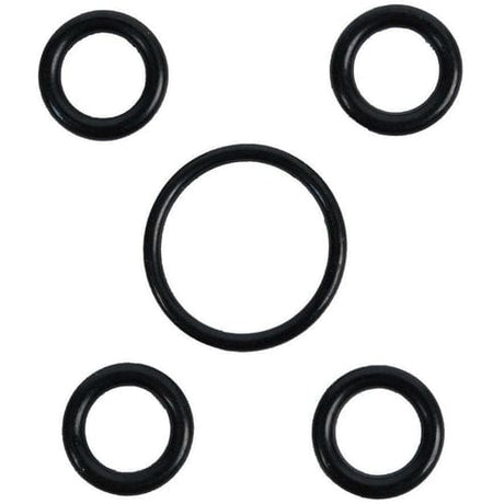 BRP Qualifies for Free Shipping BRP O-Rings TNT #5034154