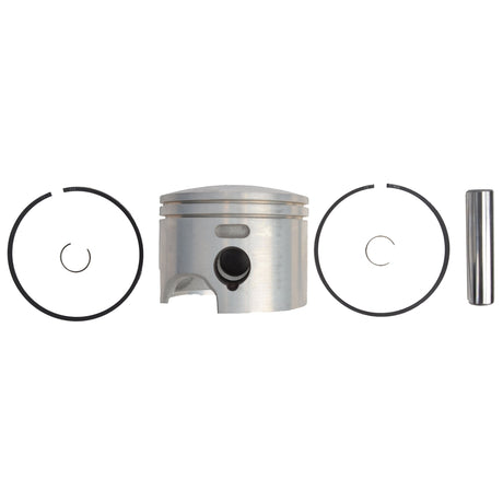 BRP Qualifies for Free Shipping BRP Piston & Ring Set #5007038