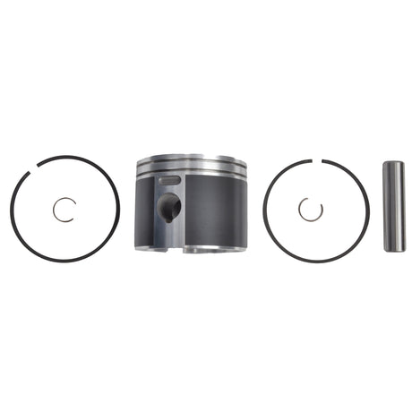 BRP Qualifies for Free Shipping BRP Piston with Rings #5007545