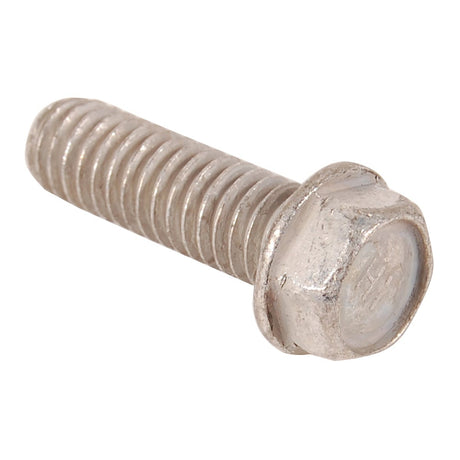 BRP Qualifies for Free Shipping BRP Screw #317624