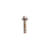 BRP Qualifies for Free Shipping BRP Screw #330838