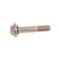 BRP Qualifies for Free Shipping BRP Screw #332590