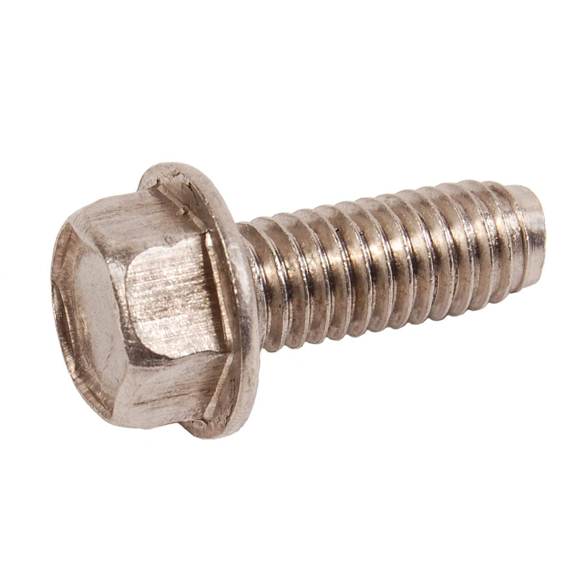 BRP Qualifies for Free Shipping BRP Screw #341219