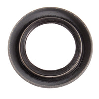 BRP Qualifies for Free Shipping BRP Seal #329923