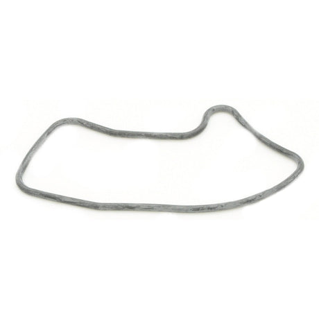 BRP Qualifies for Free Shipping BRP Seal Outlet #3852965