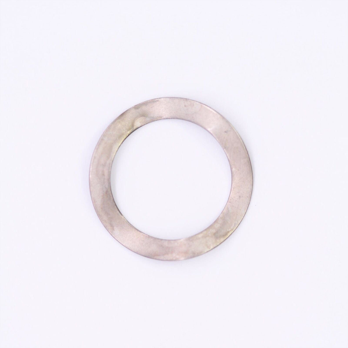 BRP Not Qualified for Free Shipping BRP Spring Washer #325780