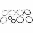 BRP Qualifies for Free Shipping BRP Tilt & Trim Seal Kit #0985060