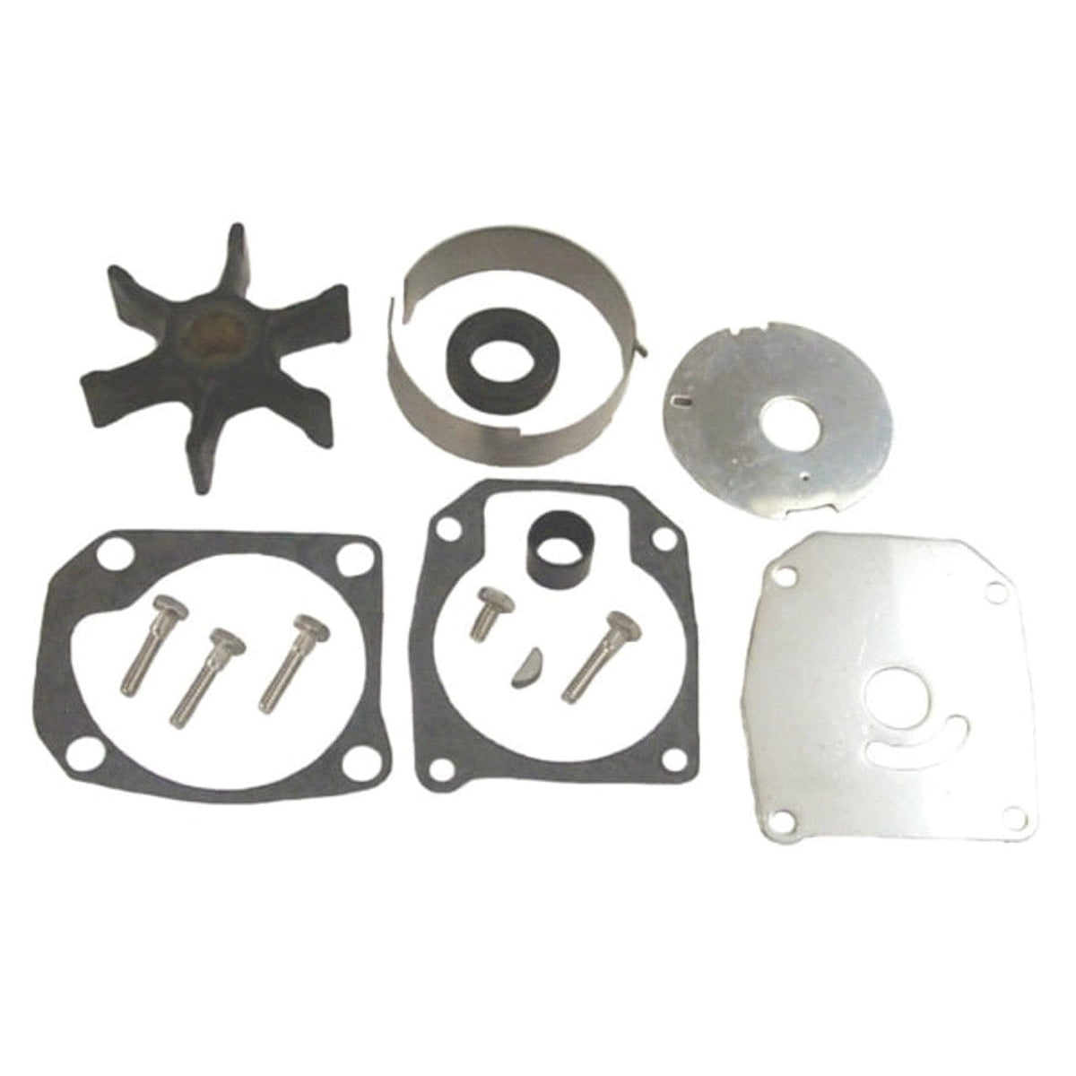 BRP Qualifies for Free Shipping BRP Water Pump Kit #438579