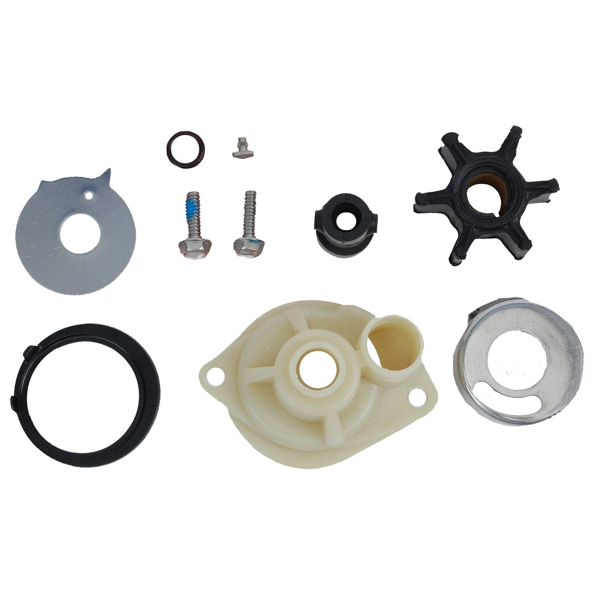BRP Qualifies for Free Shipping BRP Water Pump Kit #763736