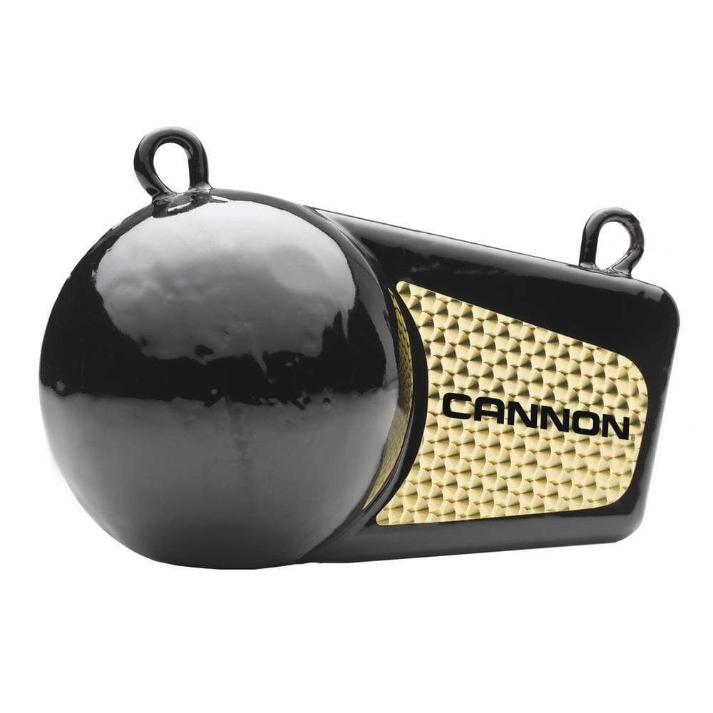 Cannon Qualifies for Free Shipping Cannon 10 lb Flash Weight #2295184