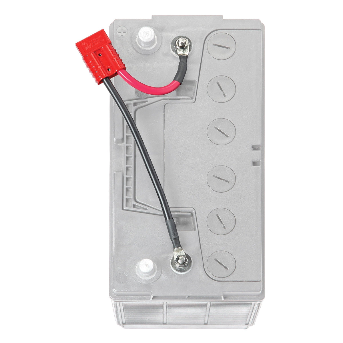 Connect-Ease Qualifies for Free Shipping Connect-Ease 12v Battery Connector #RCE12VB1S