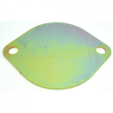 Crusader Qualifies for Free Shipping Crusader Flywheel Cover Plate #R019010