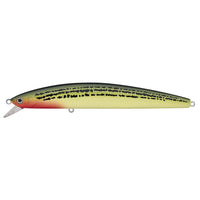Daiwa Qualifies for Free Shipping Daiwa Salt Pro Minnow 6-3/4