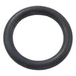 EMP Qualifies for Free Shipping EMP O-Ring #25-00210-1