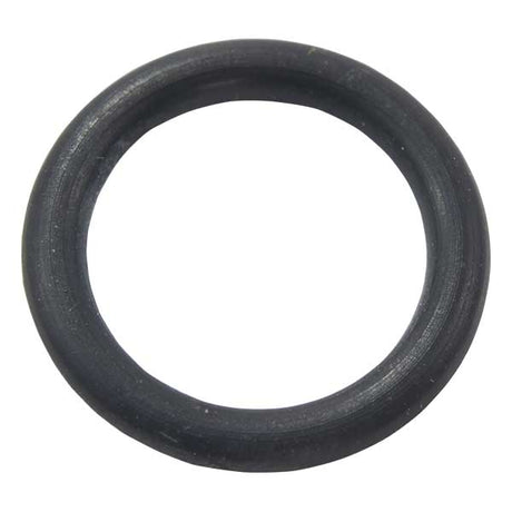 EMP Qualifies for Free Shipping EMP O-Ring #25-00210-1