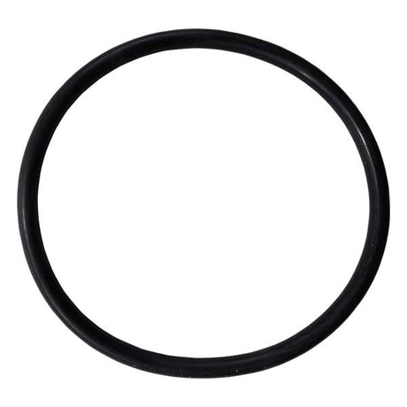 EMP Qualifies for Free Shipping EMP O-Ring #25-00215