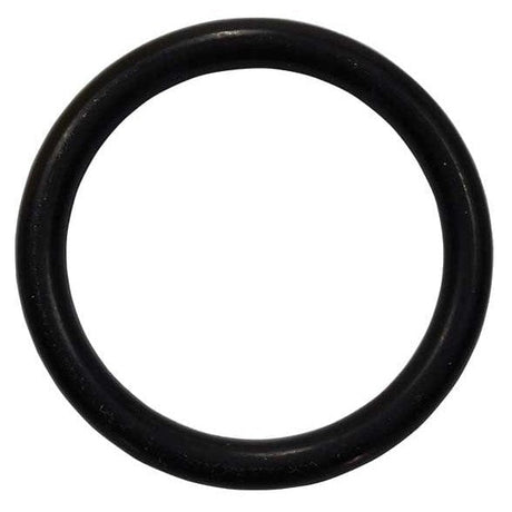 EMP Qualifies for Free Shipping EMP O-Ring #25-00248-70-1