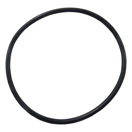 EMP Qualifies for Free Shipping EMP O-Ring #25-00276