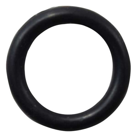 EMP Qualifies for Free Shipping EMP O-Ring #25-00495-1