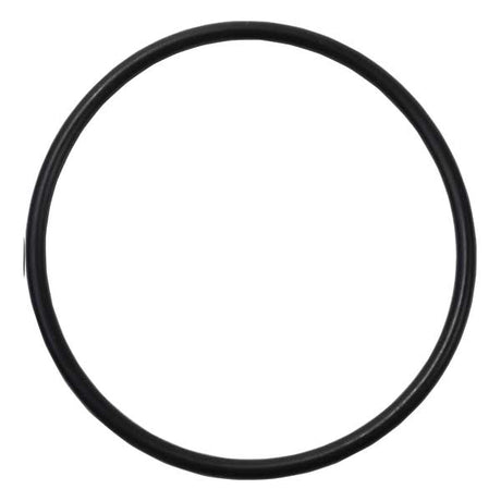 EMP Qualifies for Free Shipping EMP O-Ring #25-01280-1
