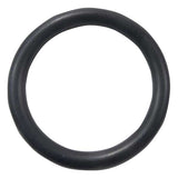 EMP Qualifies for Free Shipping EMP O-Ring #25-01959-1