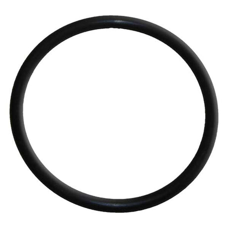 EMP Qualifies for Free Shipping EMP O-Ring #25-02442