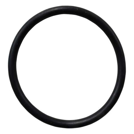 EMP Qualifies for Free Shipping EMP O-Ring #25-25955-1