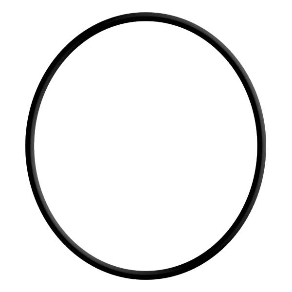 EMP Qualifies for Free Shipping EMP O-Ring #26-02745