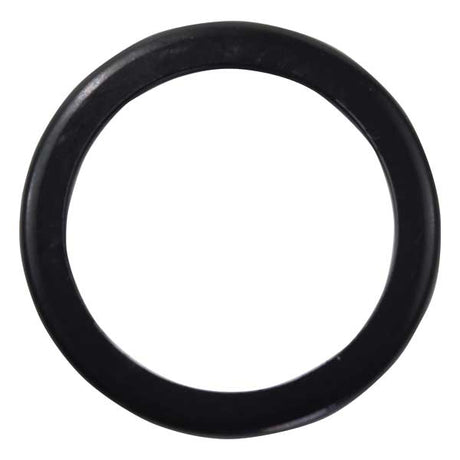 EMP Not Qualified for Free Shipping EMP Thermostat Seal #75-75111