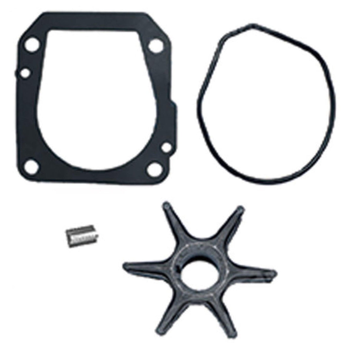 EMP Qualifies for Free Shipping EMP Water Pump Repair Kit #46-46619