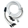 Fusion Qualifies for Free Shipping Fusion EL-FRCA12 12' Standard 4-Way RCA Cable #010-12893-00