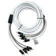 Fusion Qualifies for Free Shipping Fusion EL-FRCA25 25' Standard 4-Way RCA Cable #010-12894-00