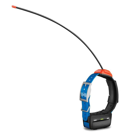 Garmin Qualifies for Free Shipping Garmin T 5 Dog Collar #010-01041-70