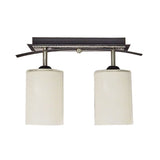 Gustafson Lighting Qualifies for Free Shipping Gustafson Lighting Ceiling Light LED 2 Globe #GSAMD5418
