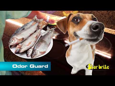 Star Brite Odor Guard Cleaner Deo/Frh #95322