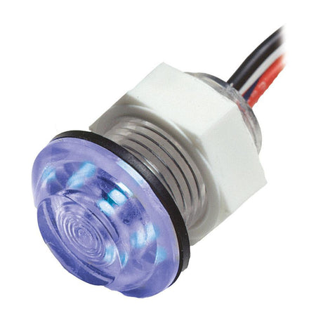 Innovative Lighting Qualifies for Free Shipping Innovative Lighting LED Livewell Recess Light Blue #011-2500-7