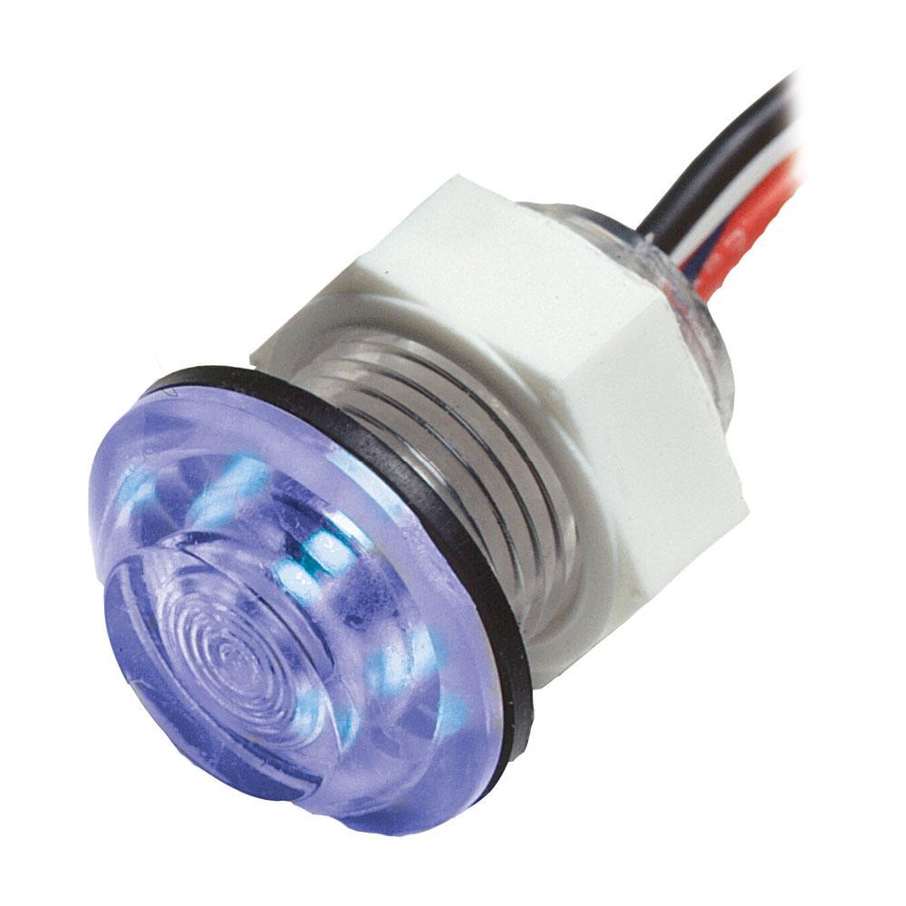 Innovative Lighting Qualifies for Free Shipping Innovative Lighting LED Livewell Recess Light Blue #011-2500-7