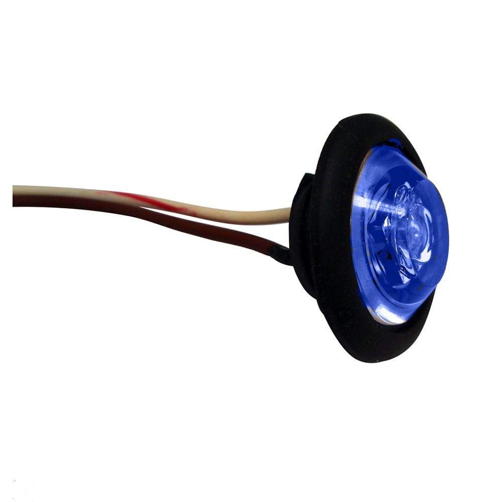 Innovative Lighting Qualifies for Free Shipping Innovative Lighting Shortie Livewell Light Black Blue #011-2530-7