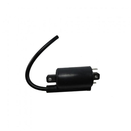 Kohler Qualifies for Free Shipping Kohler Ignition Coil #359784