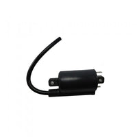 Kohler Qualifies for Free Shipping Kohler Ignition Coil #359784