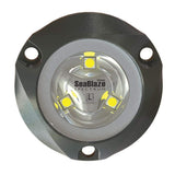 Lumitec Qualifies for Free Shipping Lumitec Seablaze Mini Spectrum #101436