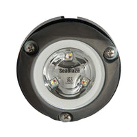 Lumitec Qualifies for Free Shipping Lumitec Zambezi Mini Surface-Mount Underwater Light #101456