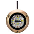 Lumitec Qualifies for Free Shipping Lumitec Zambezi X2 Dual Color Blue/White LED Surface Bronze 12/24v #101708