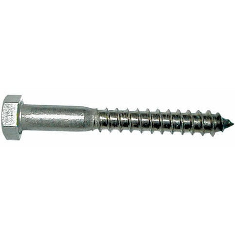 Marine Fasteners Qualifies for Free Shipping Marine Fasteners 1/4" x 1-1/2" SS Hex Lag Screw #025N0150HLSS1262